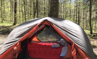 Camping near Fox Creek Horse Camp: Grindstone, Troutdale, Virginia
