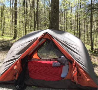 Camper-submitted photo from Royal Oak Campground — Hungry Mother State Park