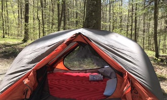 Camping near Raccoon Branch Campground: Grindstone, Troutdale, Virginia