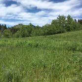 Review photo of Thain Creek by Donna S., June 19, 2016
