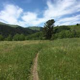 Review photo of Thain Creek by Donna S., June 19, 2016