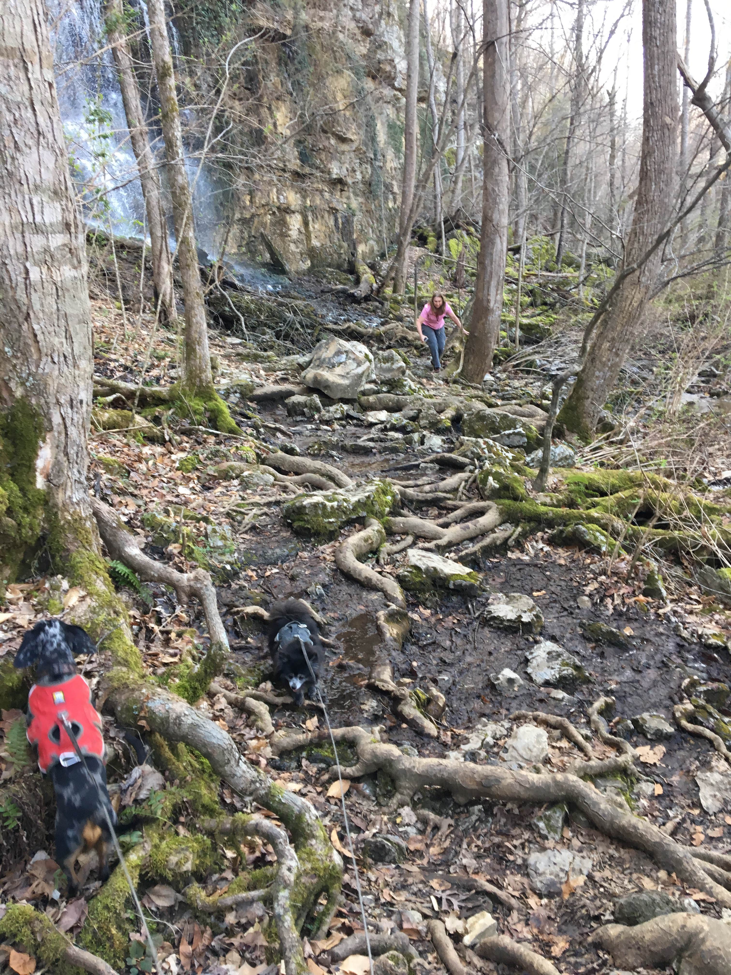 Shelly S.'s photo of camping with pets at Rock Island State Park Campground near Pocahontas, TN