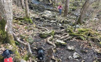 Shelly S.'s photo of camping with pets at Rock Island State Park Campground near Center Hill Lake