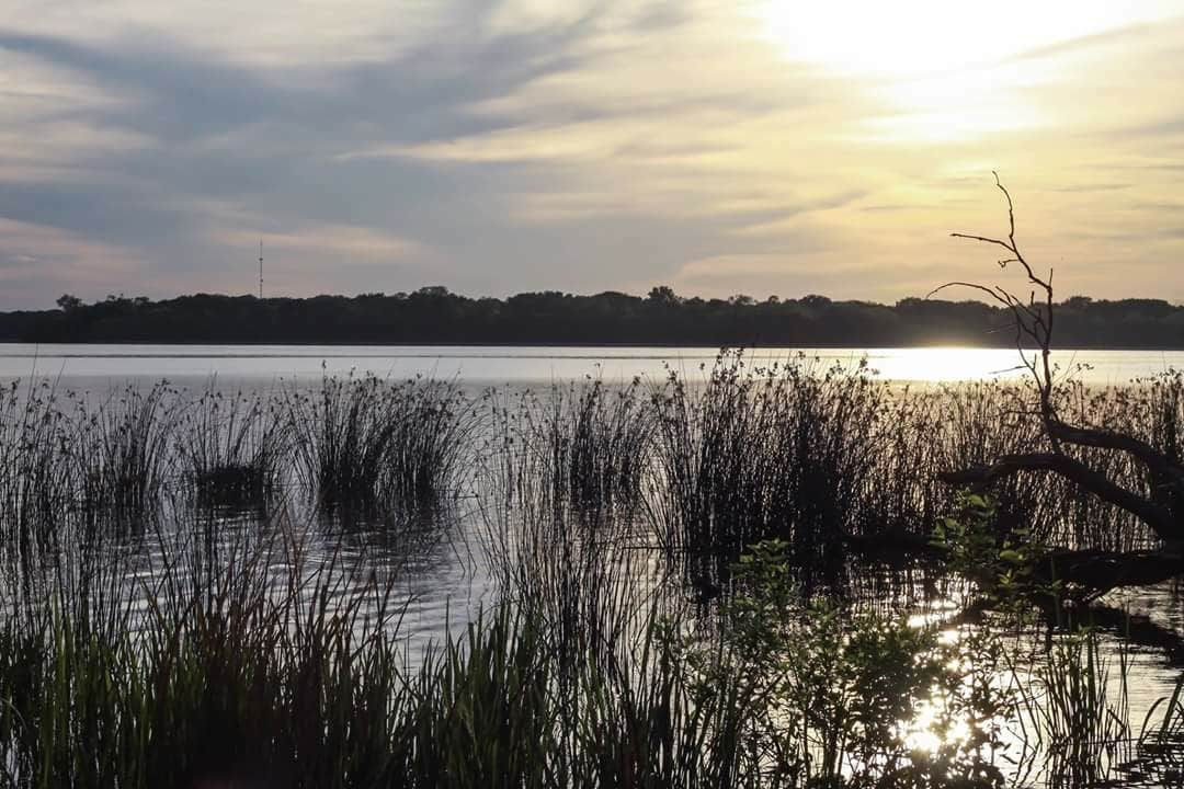 Camper submitted image from Fort Parker State Park Campground - 3