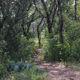 Review photo of Colorado Bend State Park Campground by Amy J., June 3, 2017