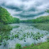 Review photo of Red Hills Lake State Park — Red Hills State Park by Donald T., June 19, 2016
