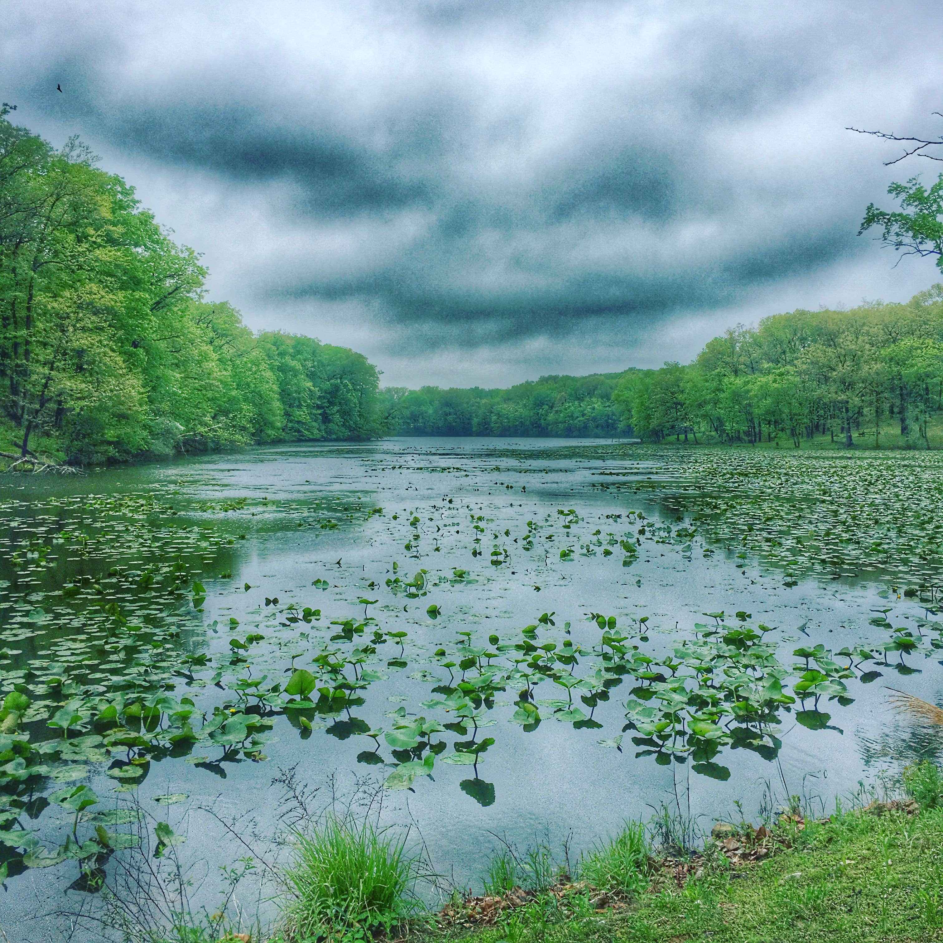 Camper submitted image from Red Hills Lake State Park — Red Hills State Park - 5