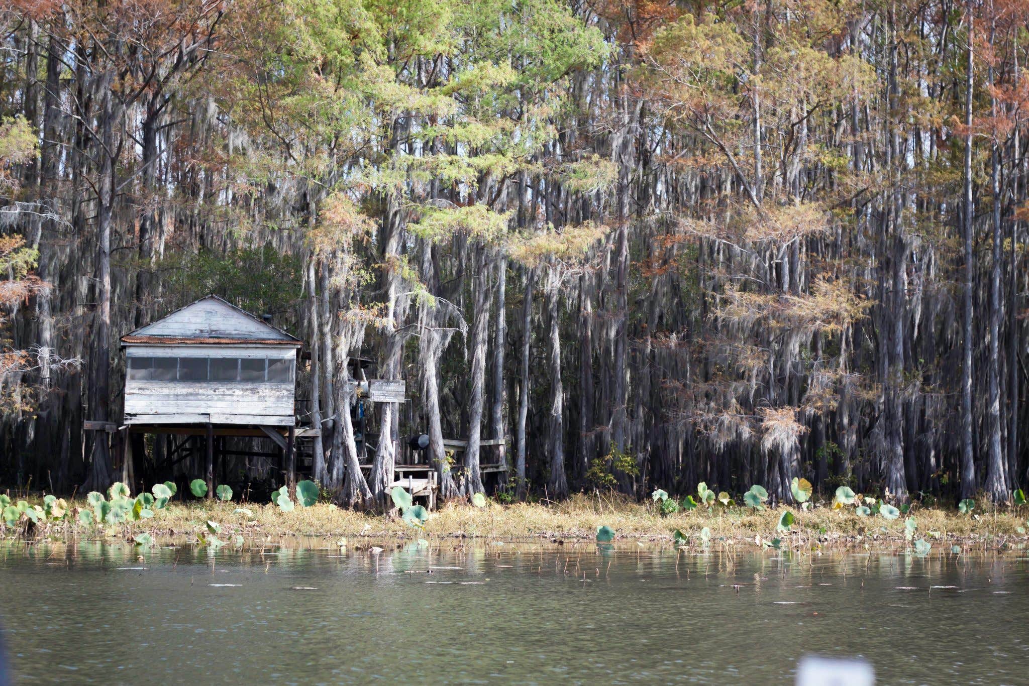 Amy J.'s photo of glamping accommodations at Caddo Lake State Park Campground near Jefferson, TX