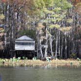 Review photo of Caddo Lake State Park Campground by Amy J., June 3, 2017