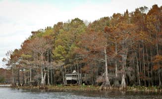 Amy J.'s photo of a cabin at Caddo Lake State Park Campground near Keithville, LA