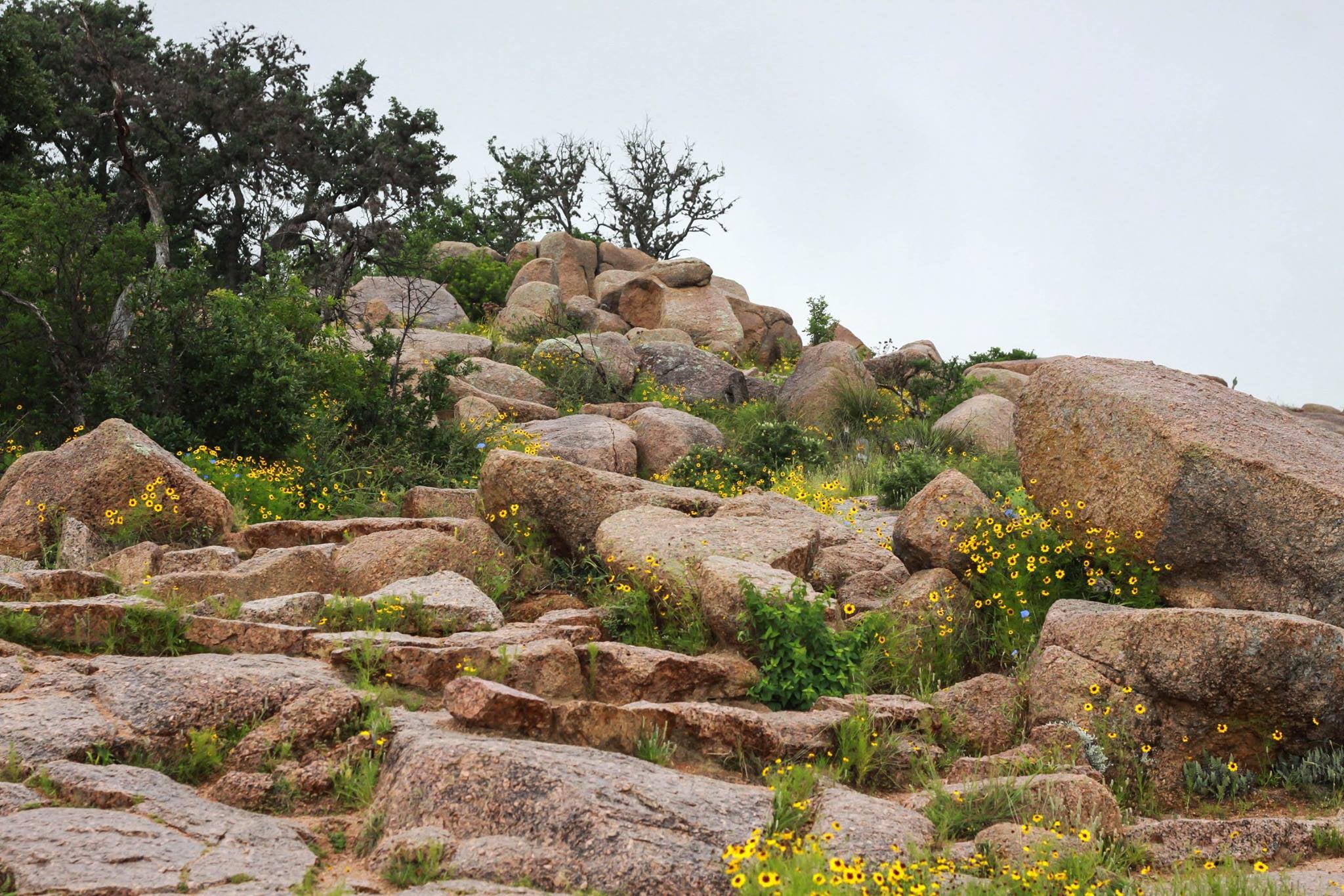 Camper submitted image from Walnut Springs Area — Enchanted Rock State Natural Area - 1