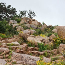Walnut Springs Area — Enchanted Rock State Natural Area