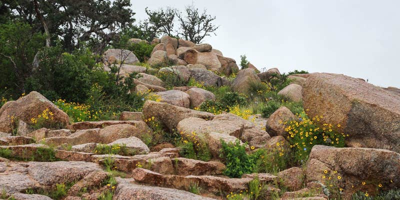 Camper submitted image from Walnut Springs Area — Enchanted Rock State Natural Area