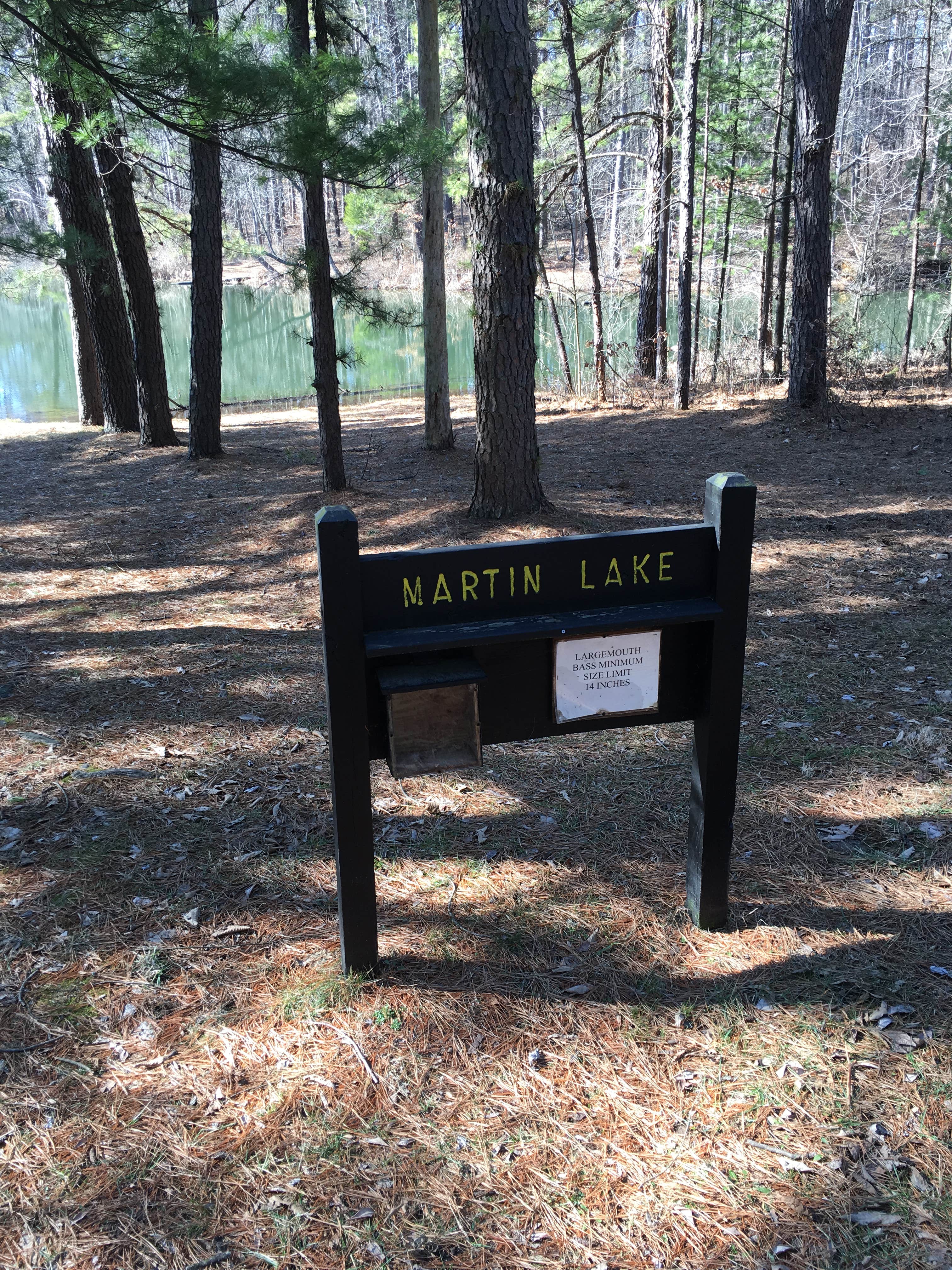 Camper submitted image from Martin State Forest - 2