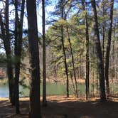 Review photo of Martin State Forest by Donald T., June 19, 2016