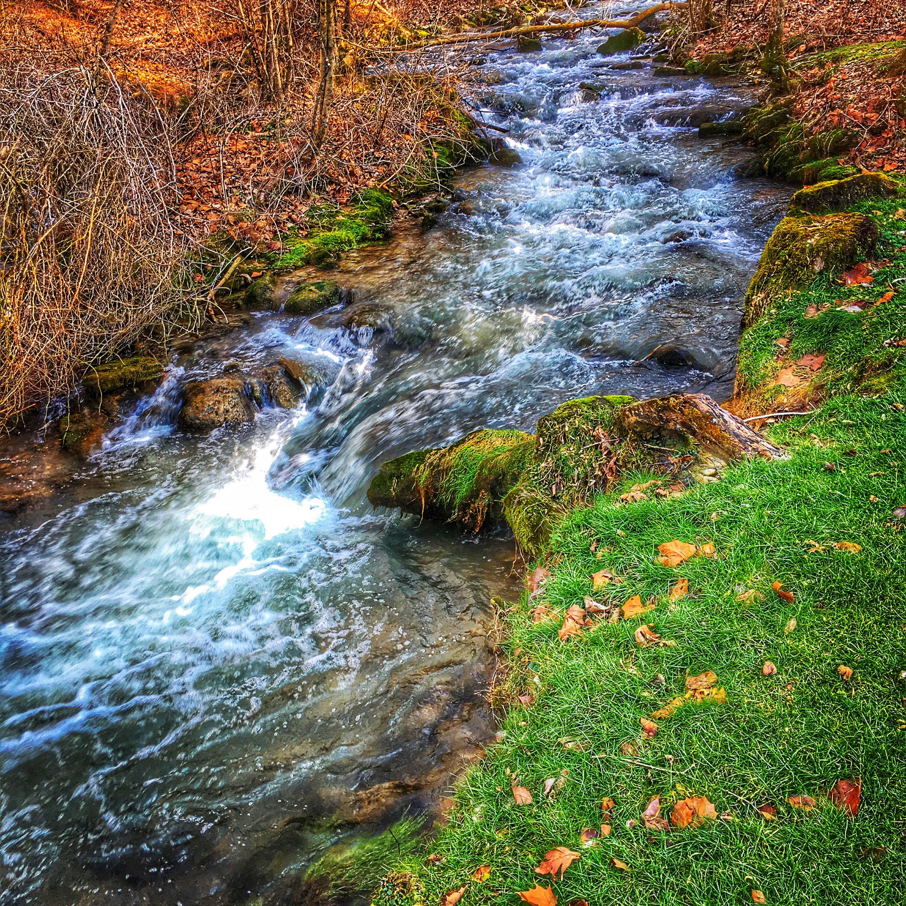 Camper submitted image from Spring Mill State Park Campground - 3