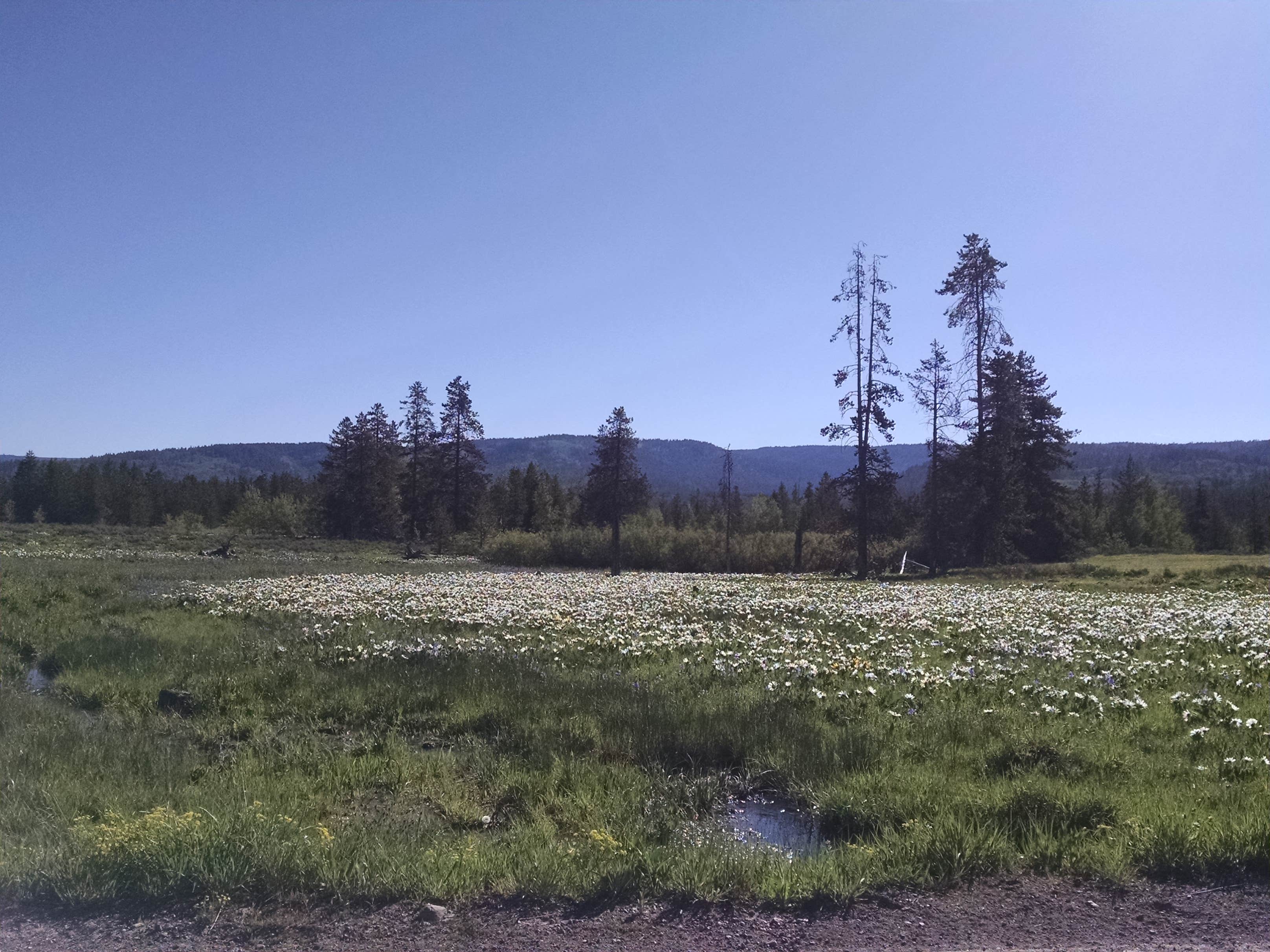 View All
