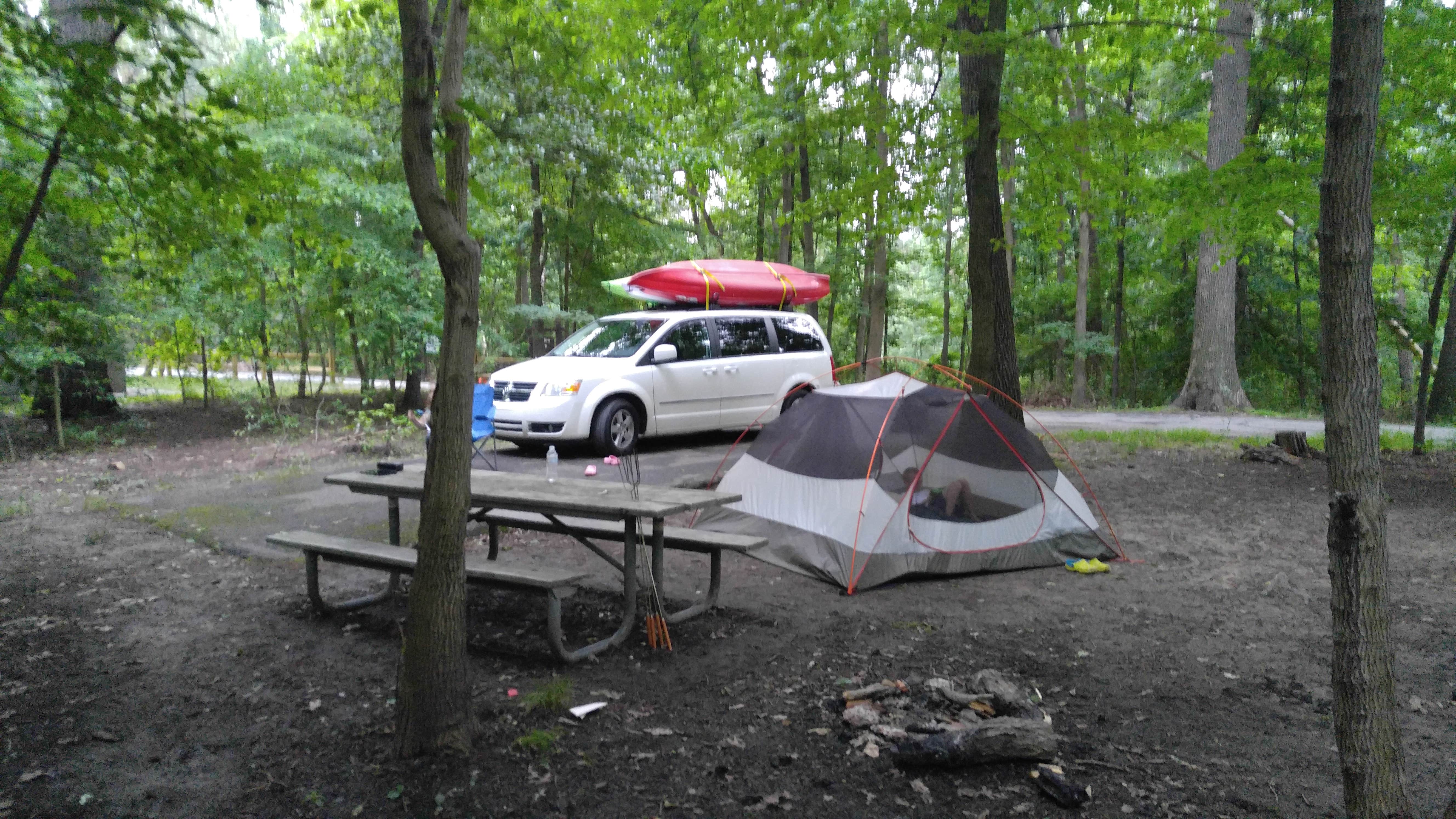 Camper submitted image from Greenbelt Park Campground — Greenbelt Park - 5