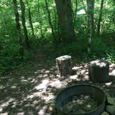 Review photo of Bandy Creek Campground — Big South Fork National River and Recreation Area by Shelly S., July 1, 2016