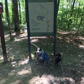 Review photo of Bandy Creek Campground — Big South Fork National River and Recreation Area by Shelly S., July 1, 2016