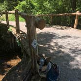 Review photo of Bandy Creek Campground — Big South Fork National River and Recreation Area by Shelly S., July 1, 2016