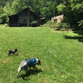 Review photo of Bandy Creek Campground — Big South Fork National River and Recreation Area by Shelly S., July 1, 2016