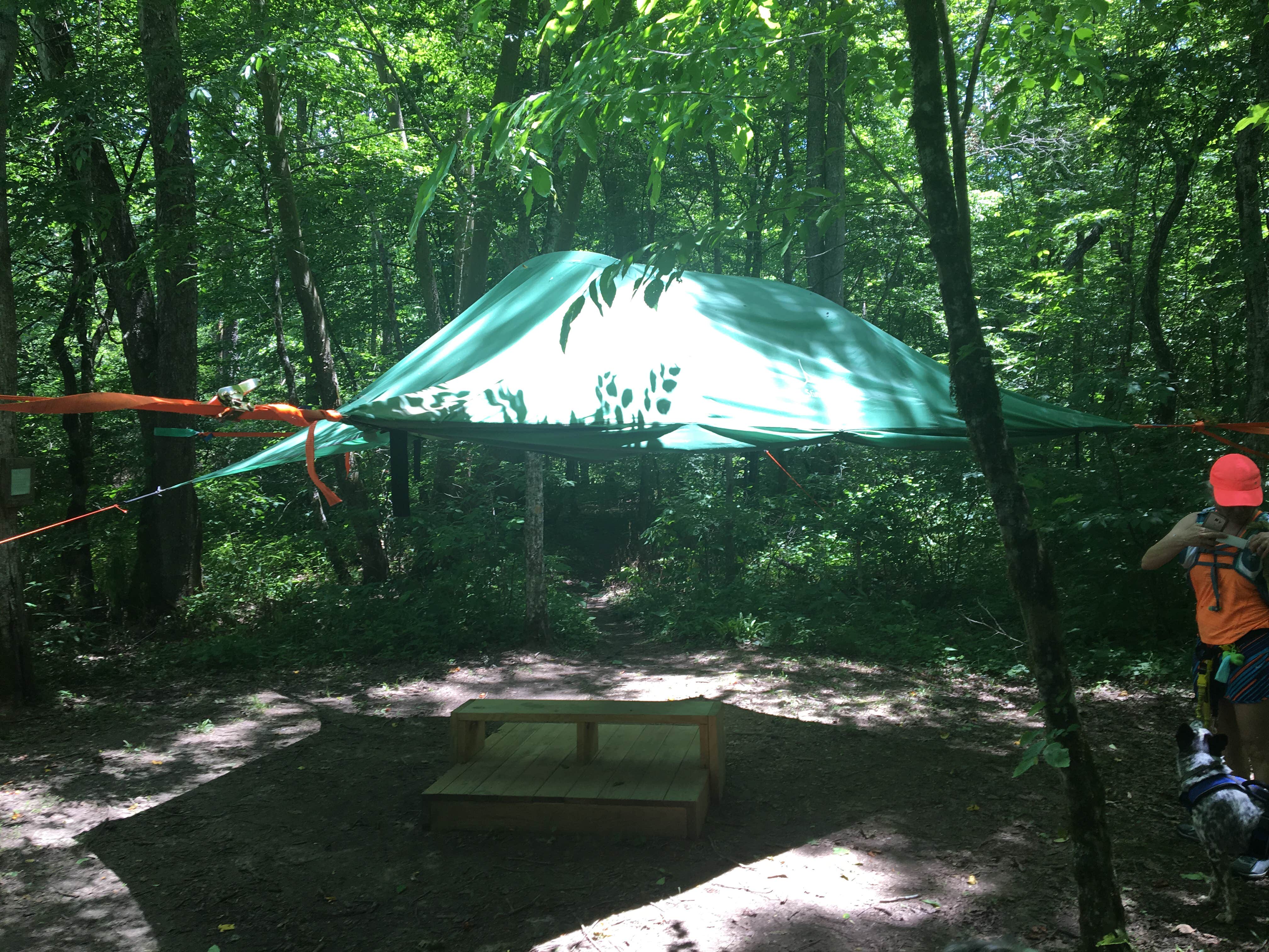 Shelly S.'s photo at Bandy Creek - Big South Fork National River Rec Area near Helenwood, TN