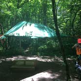 Review photo of Bandy Creek Campground — Big South Fork National River and Recreation Area by Shelly S., July 1, 2016