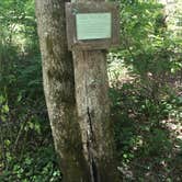 Review photo of Bandy Creek Campground — Big South Fork National River and Recreation Area by Shelly S., July 1, 2016
