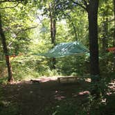 Review photo of Bandy Creek Campground — Big South Fork National River and Recreation Area by Shelly S., July 1, 2016