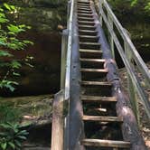 Review photo of Bandy Creek Campground — Big South Fork National River and Recreation Area by Shelly S., July 1, 2016