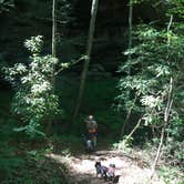 Review photo of Bandy Creek Campground — Big South Fork National River and Recreation Area by Shelly S., July 1, 2016