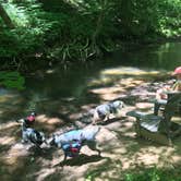 Review photo of Bandy Creek Campground — Big South Fork National River and Recreation Area by Shelly S., July 1, 2016
