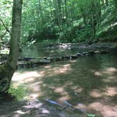 Review photo of Bandy Creek Campground — Big South Fork National River and Recreation Area by Shelly S., July 1, 2016
