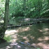Review photo of Bandy Creek - Big South Fork National River Rec Area by Shelly S., July 1, 2016