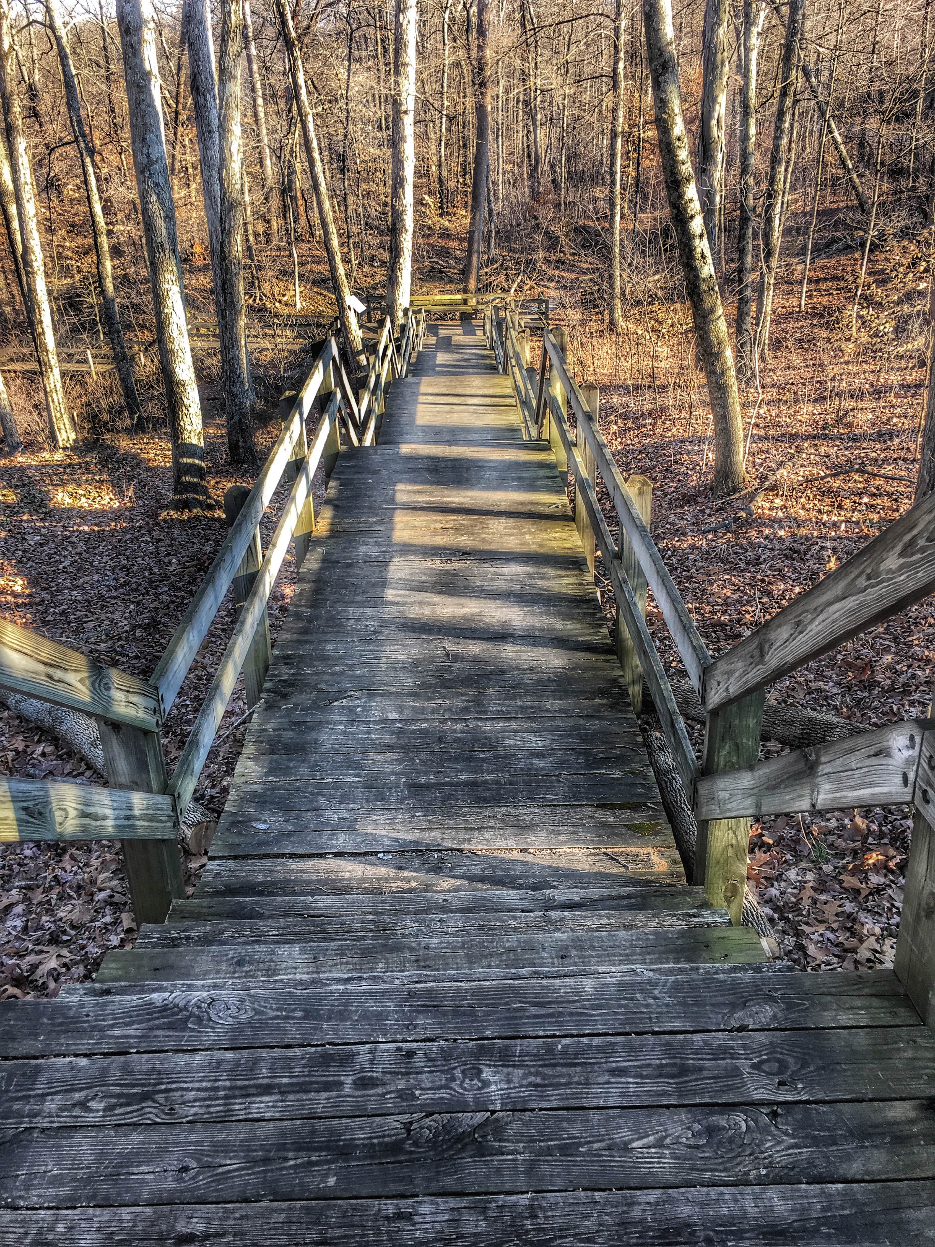 Camper submitted image from Spring Mill State Park Campground - 3