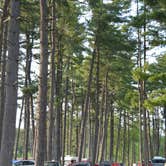 Review photo of Winton Woods Campground by Nancy W., June 4, 2017
