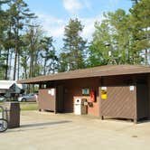 Review photo of Winton Woods Campground by Nancy W., June 4, 2017