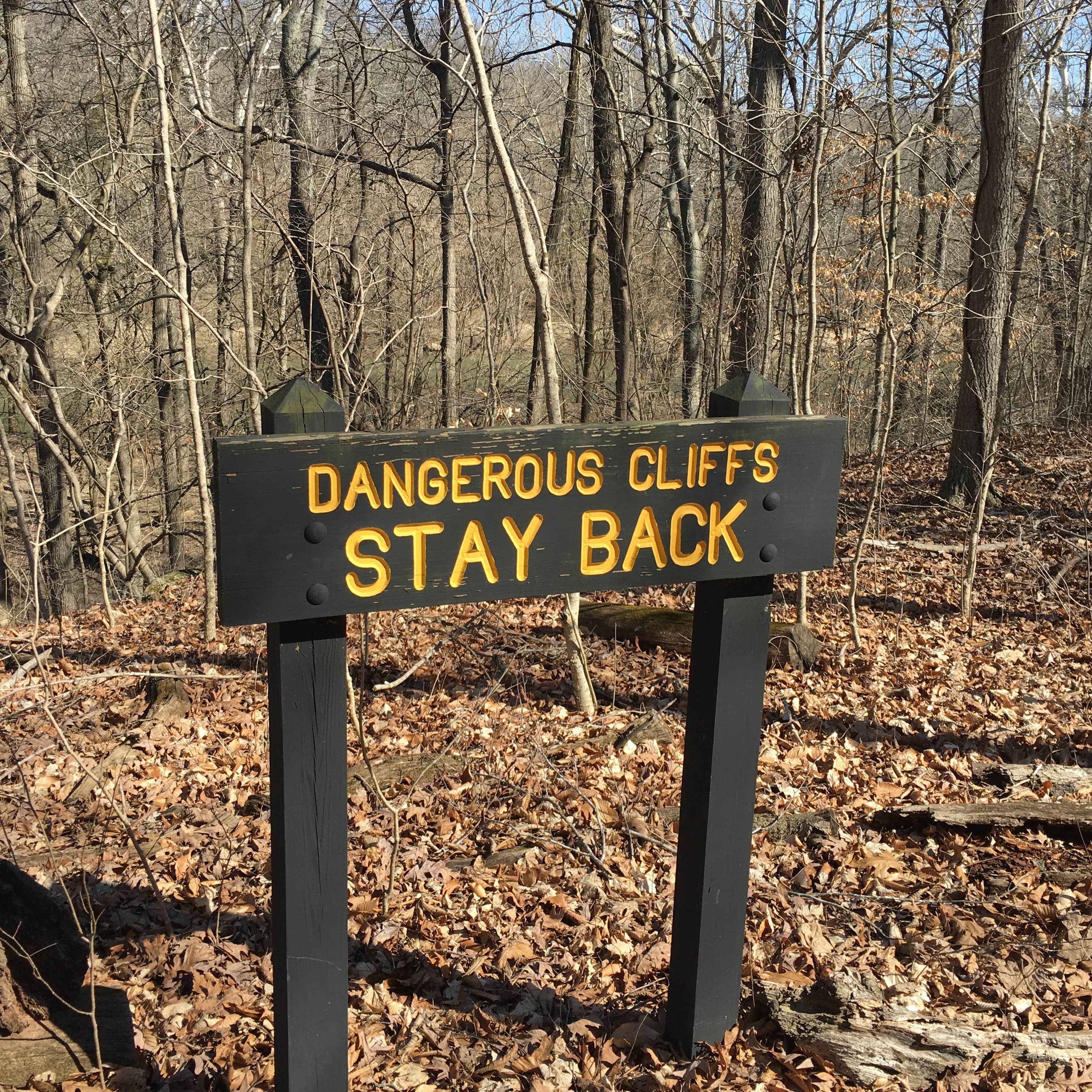 Camper submitted image from Turkey Run State Park Campground - 5
