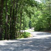 Review photo of Doll Mountain Campground by Jeff B., June 4, 2017