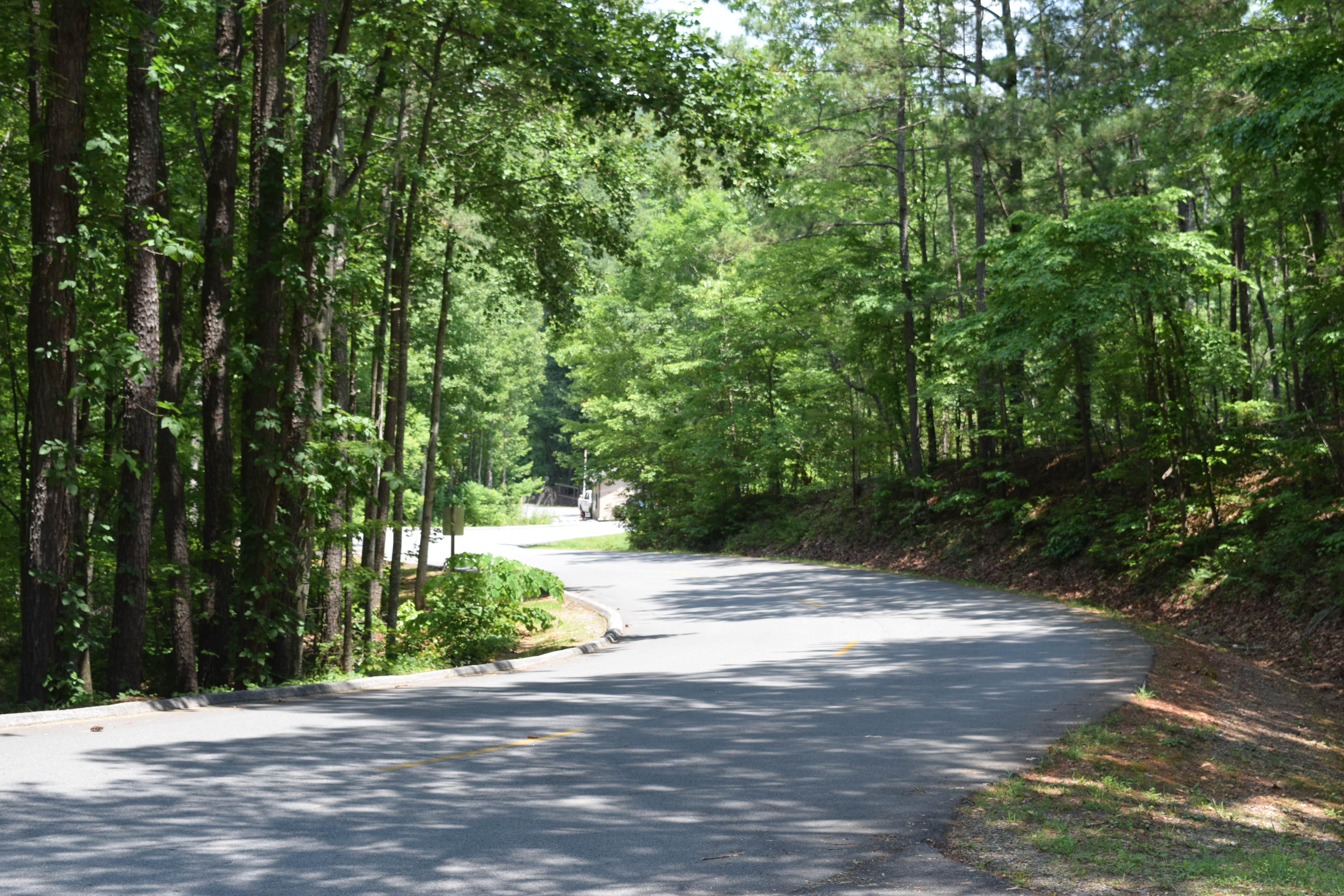 Camper submitted image from Doll Mountain Campground - 2
