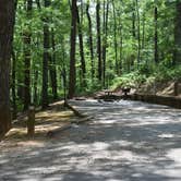 Review photo of Doll Mountain Campground by Jeff B., June 4, 2017
