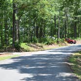 Review photo of Doll Mountain Campground by Jeff B., June 4, 2017