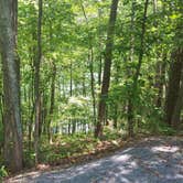 Review photo of Doll Mountain Campground by Jeff B., June 4, 2017