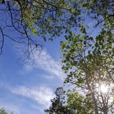 Review photo of Scab Creek Small Vehicle Campground by Kelsey C., June 4, 2017