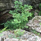Review photo of Carter Caves State Resort Park by Bryan G., June 19, 2016