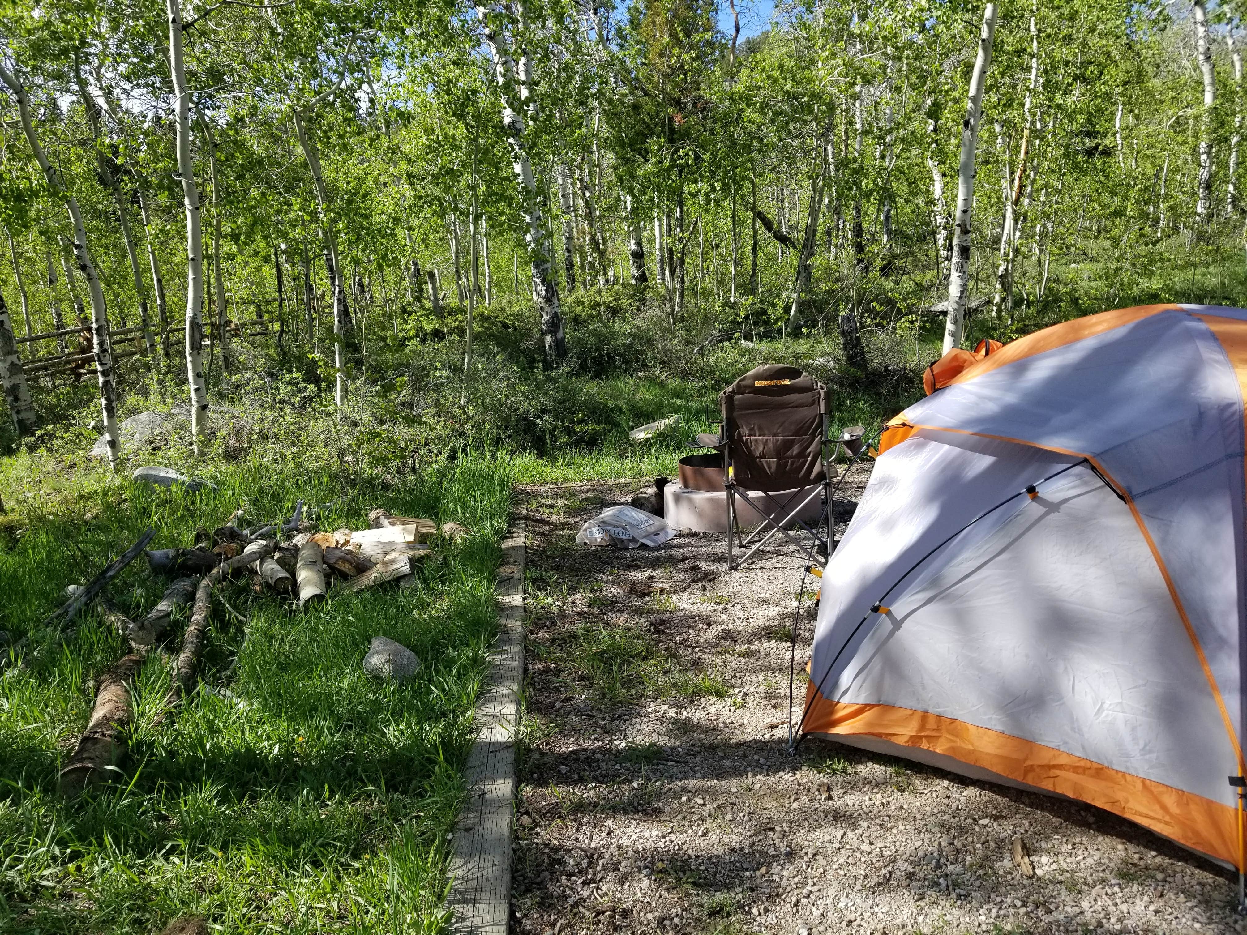 Kelsey C.'s photo at Scab Creek Small Vehicle Campground near Boulder, WY