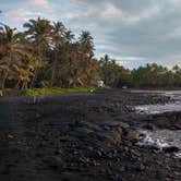 Review photo of Punalu`u Beach Park by Dave G., June 5, 2017