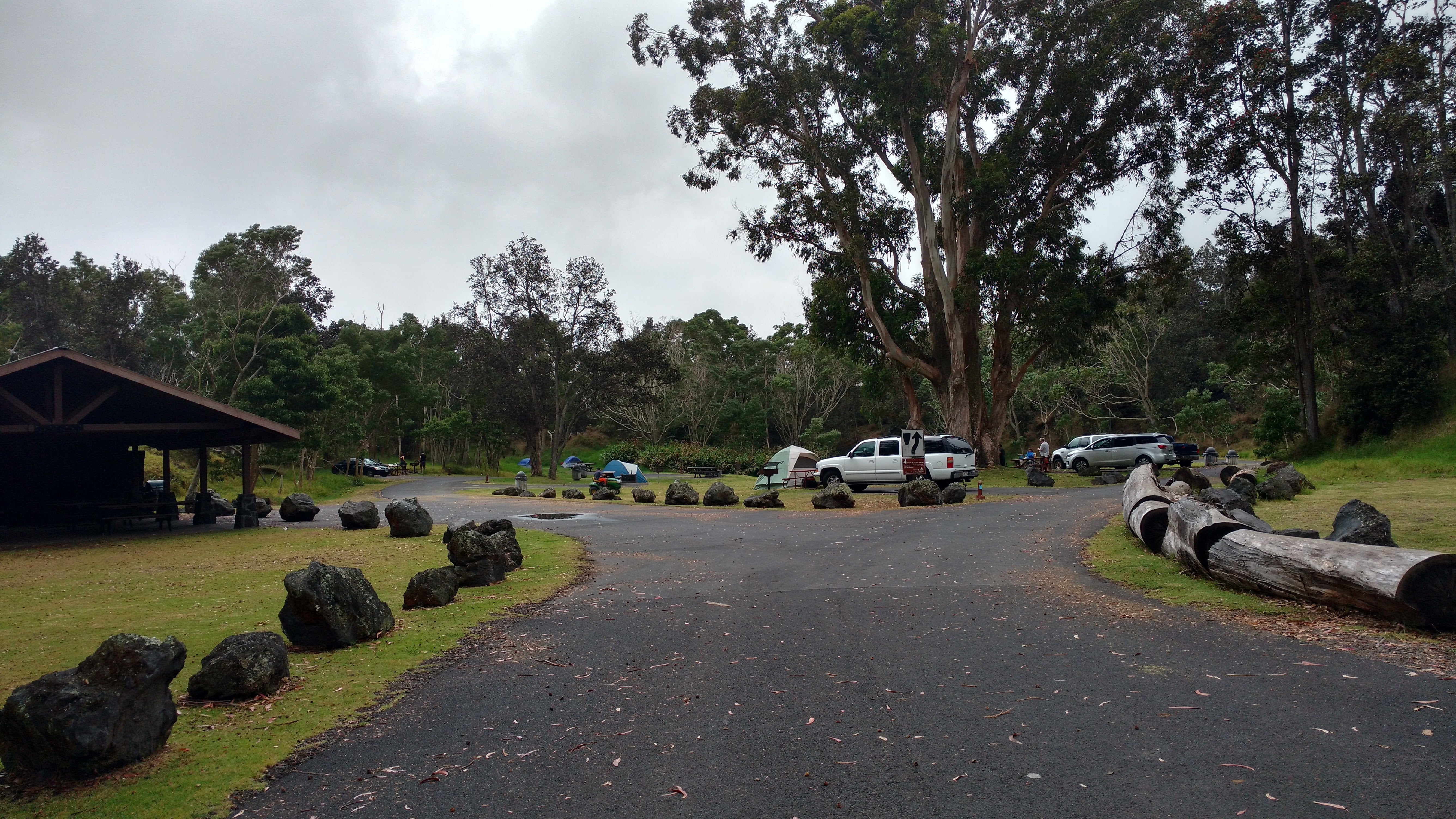 Camper submitted image from Nāmakanipaio Campground — Hawai'i Volcanoes National Park - 5