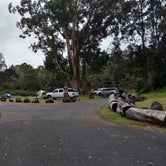 Review photo of Nāmakanipaio Campground — Hawai'i Volcanoes National Park by Dave G., June 5, 2017